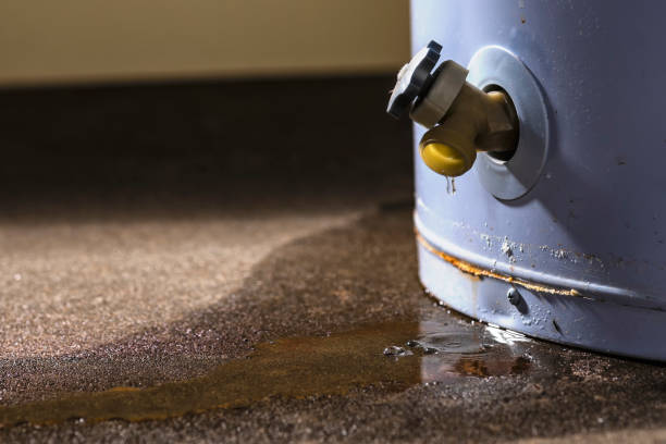 Best Water damage contractors near me  in Mather, CA