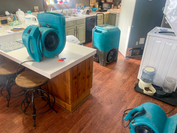 Best Residential water damage restoration  in Mather, CA