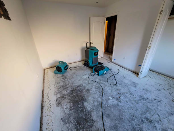 Best Water damage restoration near me  in Mather, CA