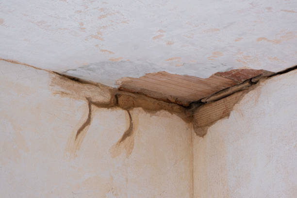 Best Water damage restoration company  in Mather, CA