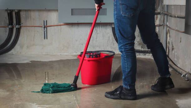 Best Flood restoration services  in Mather, CA