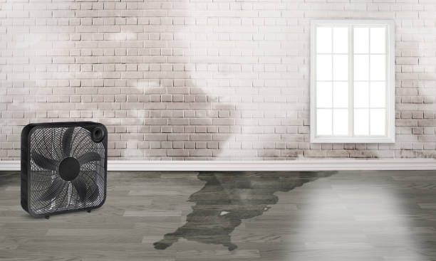 Best Sewage cleanup and water damage restoration  in Mather, CA