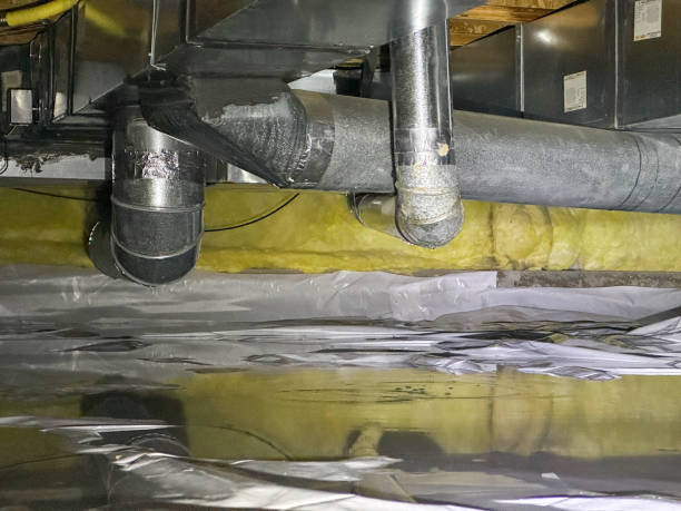 Best Ceiling water damage repair  in Mather, CA