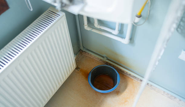Best Ceiling water damage repair  in Mather, CA
